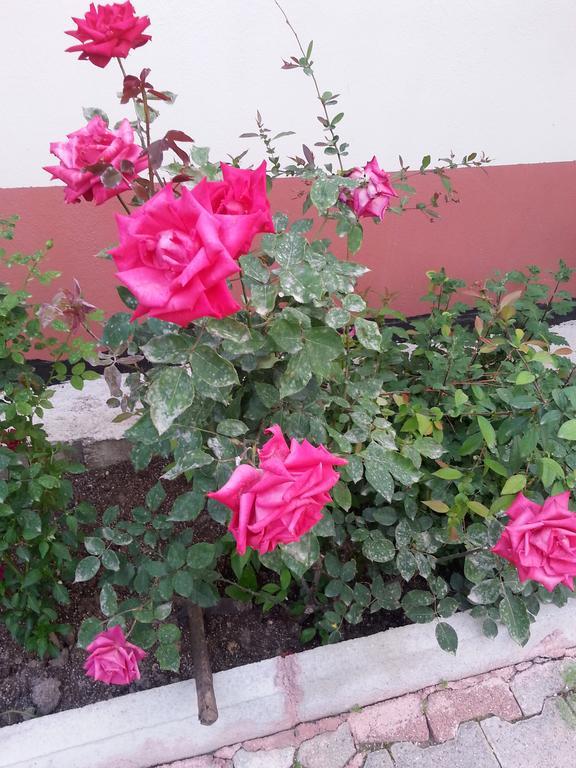 Keramos Pansiyon Finike Esterno foto